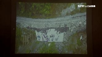 林姿妙家族事業　90度濫墾畫面曝光