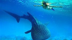 啟示廣告菲律賓(公關)