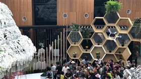 花博鄉親日（圖／台中市政府提供）