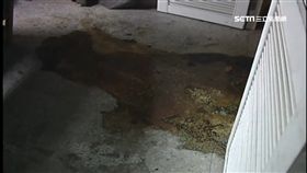 大學喋血回顧！王水溶屍.潑酸情殺震驚社會