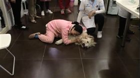 （圖／翻攝自Leewen Zhang臉書）中國,狗,毒死,動物,黃金獵犬