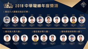 2018中華職棒年度最佳九人暨指定打擊及三大獎入圍名單。（圖／中華職棒提供）