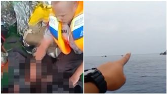 影片曝光！獅航失聯前「突降又拉升」