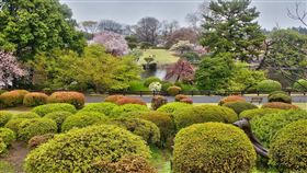 新宿御苑,日本,東京,免費送票 圖/翻攝自flicker