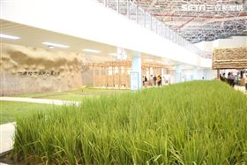 花博外埔園區鄉親日人潮（圖／台中市政府提供）