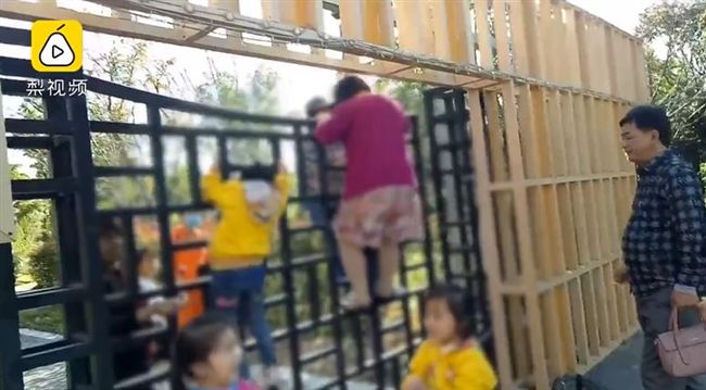 家長省門票帶娃翻牆　嗆：當鍛鍊身體