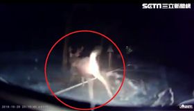 139有巨鹿／黃先生授權提供