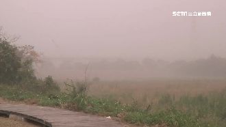 環流發威狂掀風飛沙　台東大橋灰濛濛