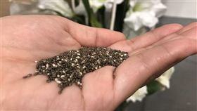 奇亞籽（記者郭奕均攝影）