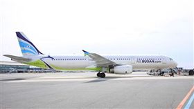 飛機上有蟑螂！釜山航空乘客空中驚魂，嚇到無處逃。（圖／翻攝인사이트網站）

