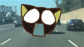 高速公路,司機,洛杉磯,萬聖節,裝飾,鮮血,屍體,扮裝　圖／翻攝自LiveLeak 