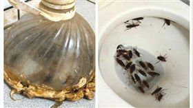 網友自製「補蟑神器」，成功防止蟑螂入侵家中。（圖／翻攝自臉書社團「爆廢公社」）