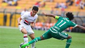 巴西球星「下體遭砍斷」棄屍樹叢　身首分離死狀慘  圖/翻攝自推特