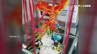 拉糖遭摔碎！選手慘帶「折翼鳥」比賽