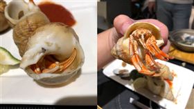 海螺,寄居蟹,海鮮,PTT　圖／翻攝自PTT