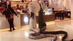 萬聖節扮演「白蛇傳」裡頭的白蛇、青蛇。（圖／翻攝自臉書社團「爆廢公社」）