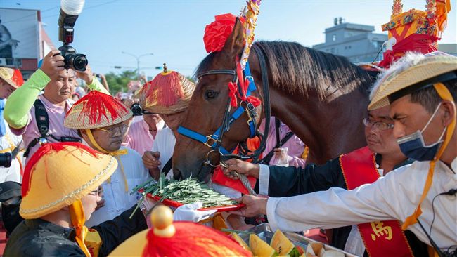 新聞所報白馬失控　純屬錯誤廟方聲明