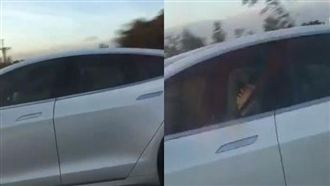 邊開邊睡？特斯拉哥超狂自駕影片曝光