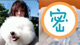 蔡依林愛犬新造型曝光！竟成方形臉…