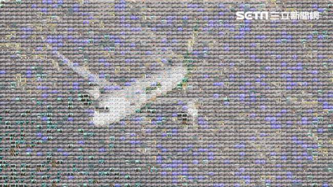 波音787今首航！下月再投日本航線