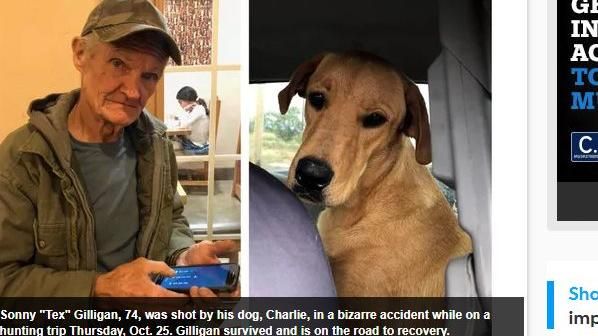 男沙漠打獵遭槍擊　兇手竟是多年愛犬