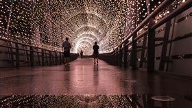 新北歡樂耶誕城11/16揭幕（2）「2018新北市歡樂耶誕城」16日將正式揭幕，今年特別以4種不同顏色燈飾，打造浪漫玫瑰金的「金澄星橋」等夢幻空間，歡迎民眾參訪。中央社記者黃旭昇新北市攝  107年11月1日