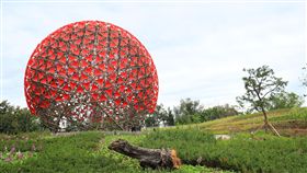花博「聆聽花開的聲音」機械花(圖/台中市政府提供)