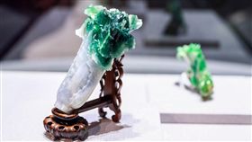 花博花蝶館展出故宮翠玉白菜（圖／台中市政府提供）