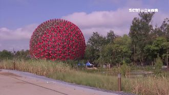 花博三園區七大場館　最強機器花迎賓