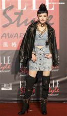 ELLE Style Awards風格人物大賞謝金燕。（記者林士傑/攝影）