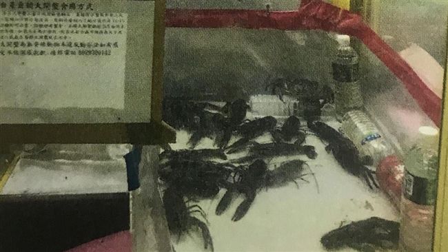 娃娃機夾的到大閘蟹　但老闆你GG了