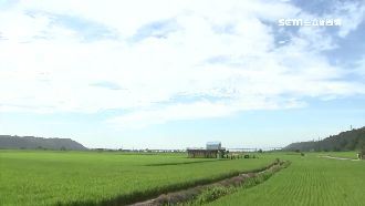 花博帶商機！廟東美食、后里秘境吸客