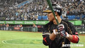  ▲王柏融打擊準備。（圖／記者王怡翔攝影）