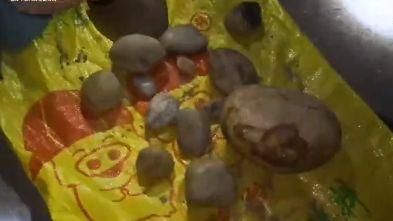 礦區有「寶」！千人湧進狂挖結果心碎