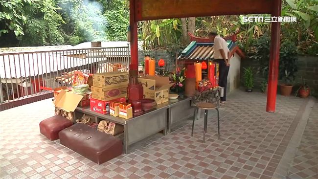 不只麻糬…土地公也愛這味　日嗑百碗