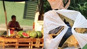 巴西,惡龍,龍,嬰兒,分屍,憂鬱症,垃圾袋,幻聽,阿嬤, 圖／翻攝自臉書　