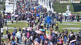 玩家「瘋」湧台南　揭寶可夢成功原因