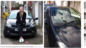 英國女大生愛車被人「放屎」（圖／翻攝自walesonline）