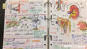 神人級生物筆記／廖先生授權提供