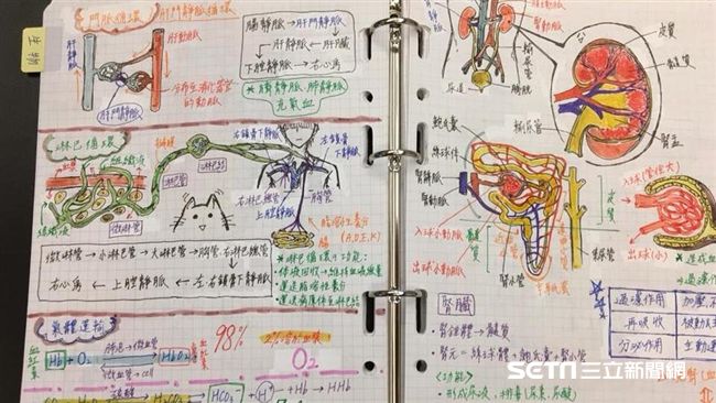 父曬女兒生物筆記　網驚呆：神人等級