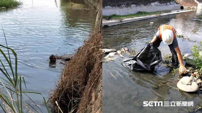 冒險潛臭水溝撿垃圾　清潔員險遭滅頂
