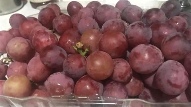 葡萄籽抗癌？這些食物沒那麼神（上）