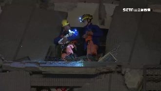 維冠女嬰投胎轉世　比對相似度超驚人