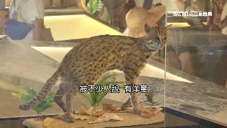 台中花博冠名「世界」　原因有洋蔥