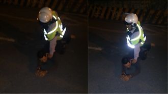 通緝犯出拳毆警拒捕　遭連開2槍嚇阻