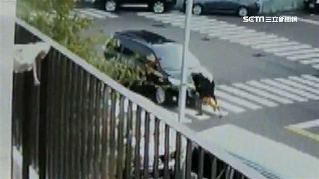 「黎明幼兒園」園長林金連，曾逆向衝撞時任市長林佳龍的座車表示抗議。（圖／翻攝畫面）