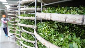 商業周刊／名家專用