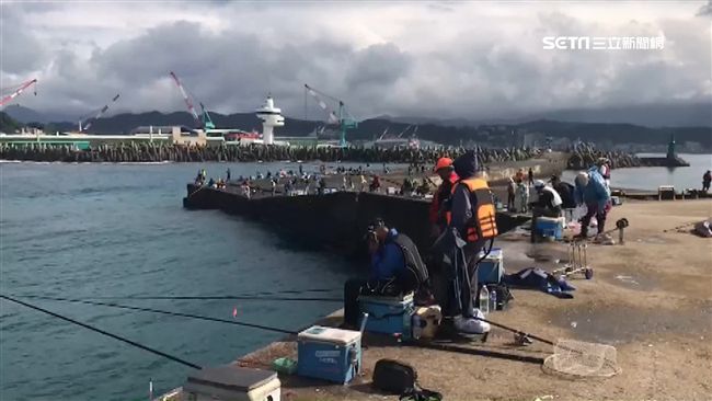 基隆港湧剝皮魚　釣客相報加菜賺外快