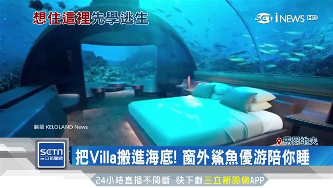 把Villa搬到海底　鯊魚優游陪睡