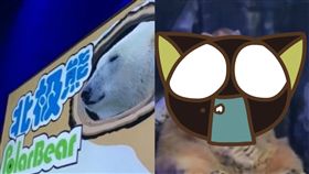 棕熊,北極熊,發抖,海洋公園,代班,大陸,中國,嘴巴,顫抖 圖／翻攝自YouTube http://youtu.be/_xLaKP4Tv7o